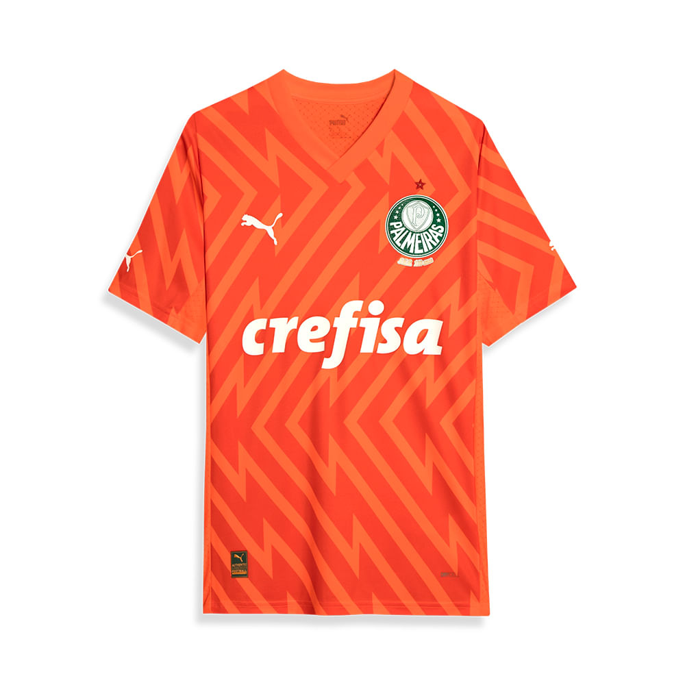 Camisa III Goleiro Palmeiras 2024/25 Jogador