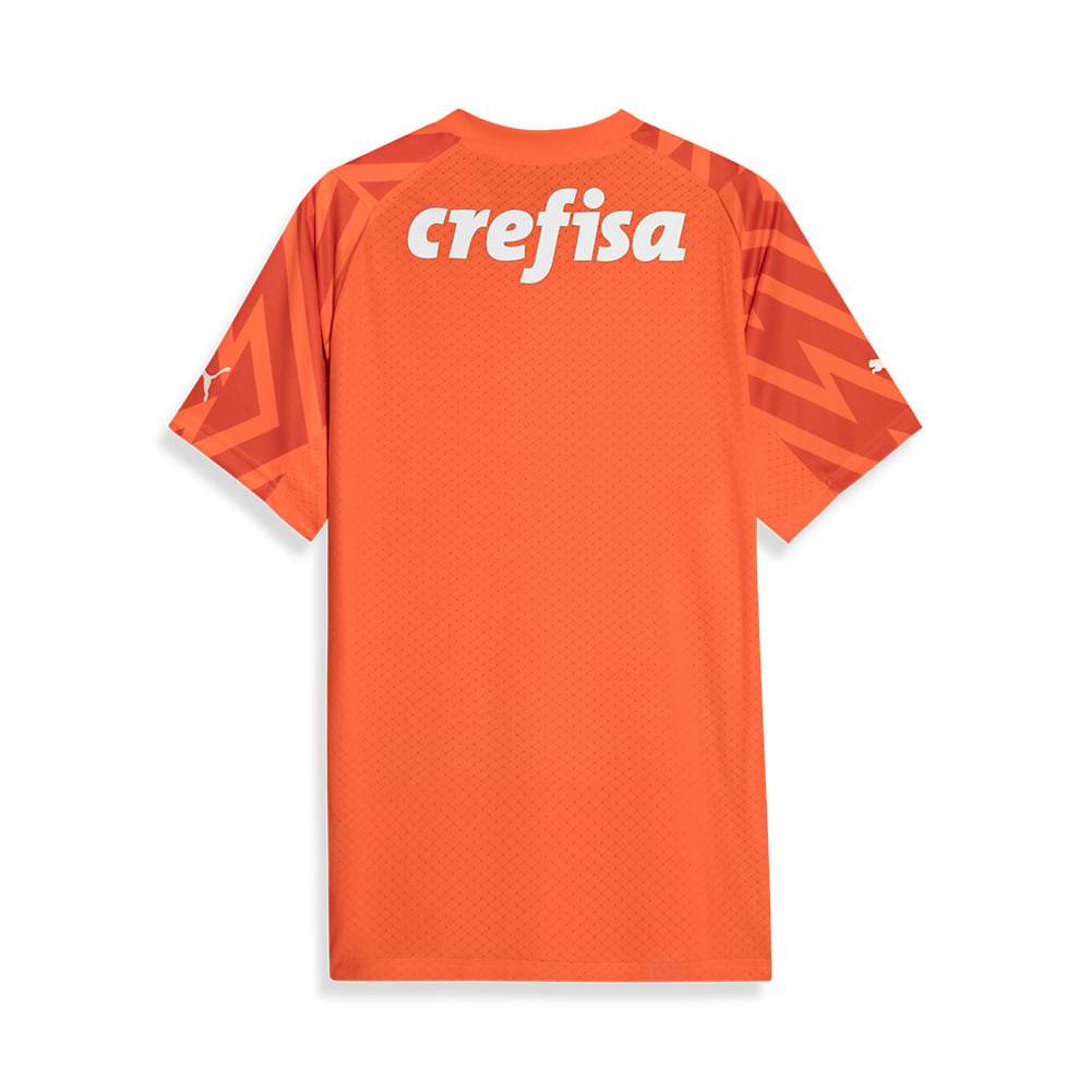 Camisa III Goleiro Palmeiras 2024/25 Jogador