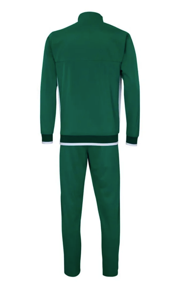 Agasalho Palmeiras Player Verde