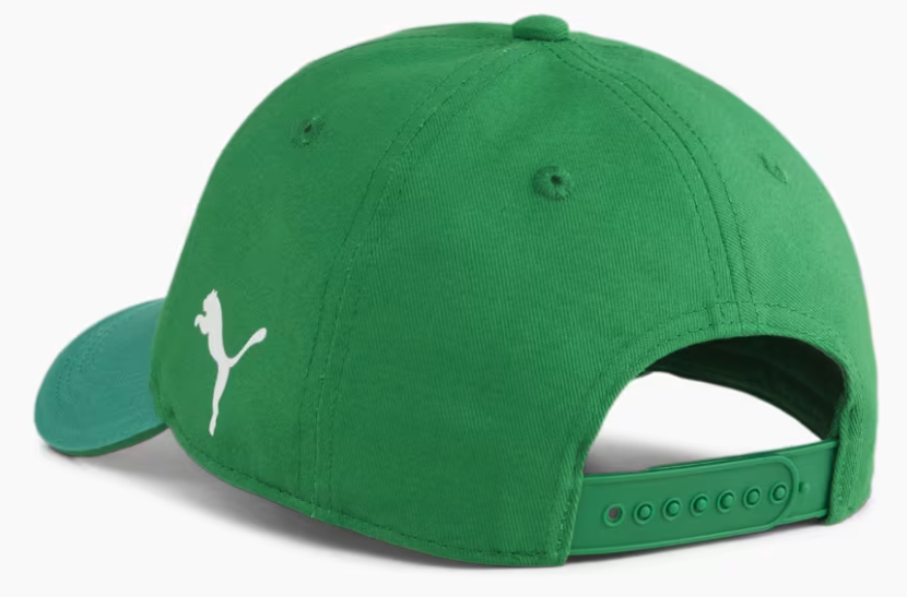 Boné Treino Palmeiras 2024/25