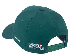 Boné Palmeiras 110 Anos