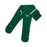 Meião Palmeiras Puma I 25/26