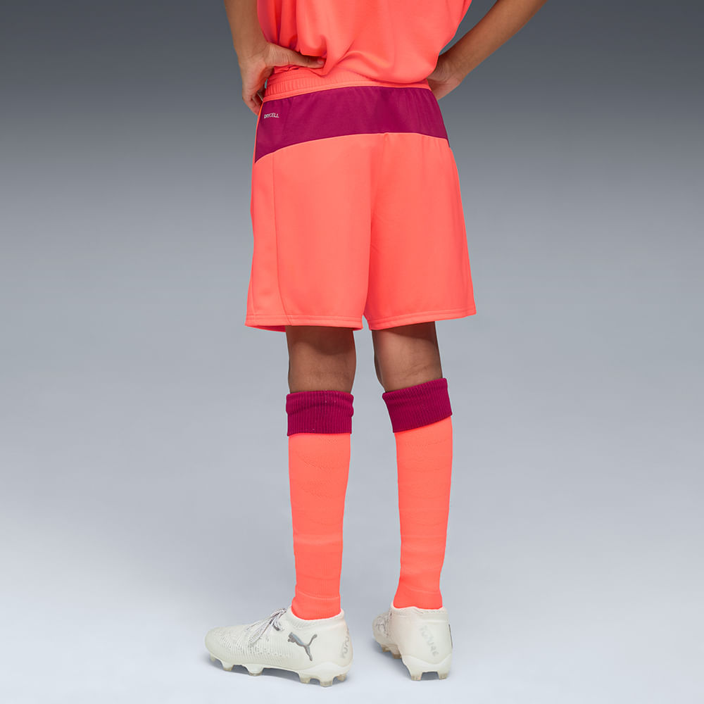 Shorts Palmeiras X Kidsuper Puma Torcedor 25/26