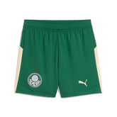 Shorts Palmeiras X Kidsuper Puma Torcedor 25/26