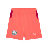 Shorts Palmeiras X Kidsuper Puma Torcedor 25/26