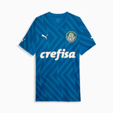 Camisa I Goleiro Palmeiras 2024/25 Jogador
