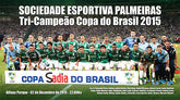 Placa Campeão Copa do Brasil 2015