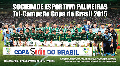 Placa Campeão Copa do Brasil 2015