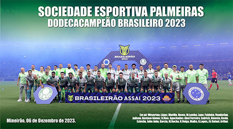 Placa Pôster Palmeiras Dodecacampeão Brasileiro 2023