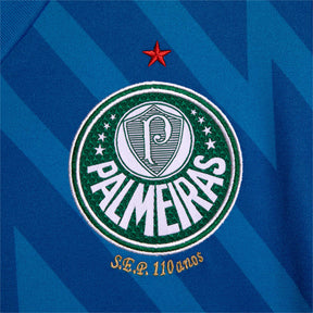 Camisa I Goleiro Palmeiras 2024/25 Jogador