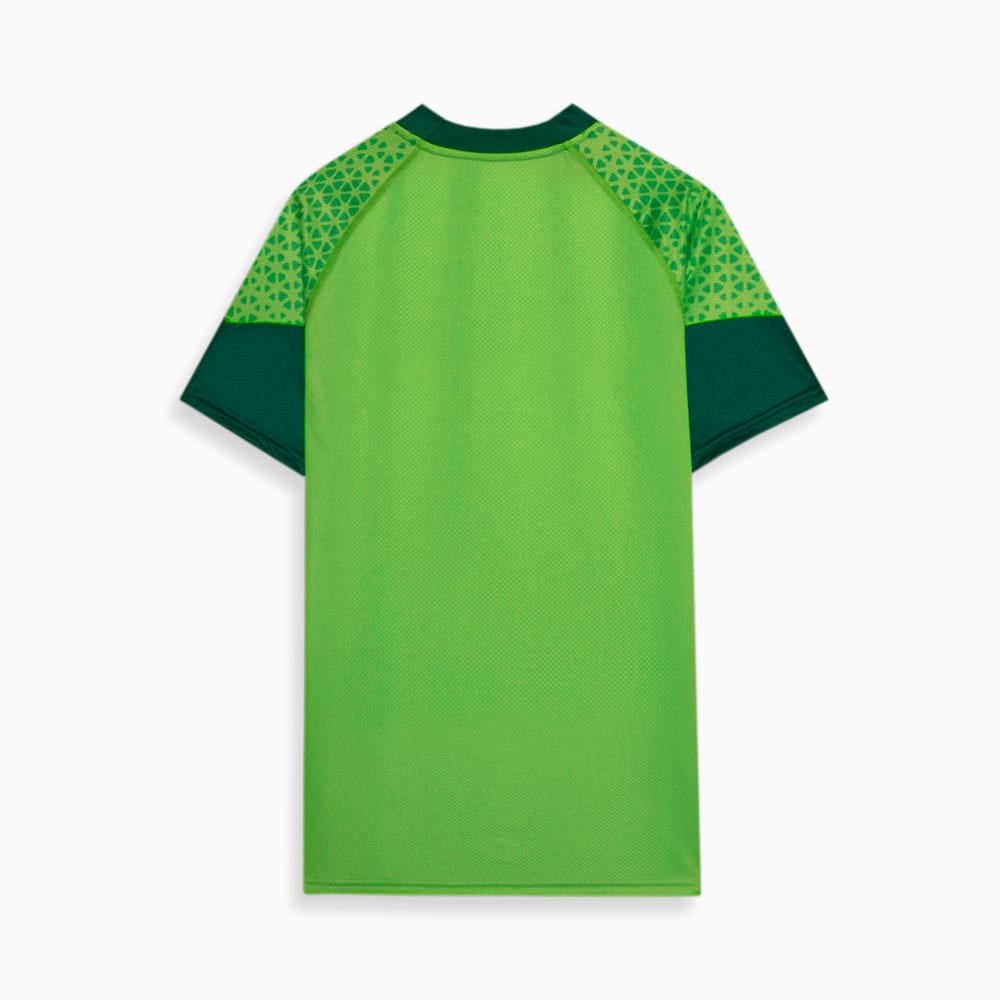 Camisa Treino Palmeiras 2024/25 Verde