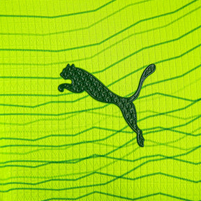 Camisa Palmeiras Puma III 23/24 Jogador