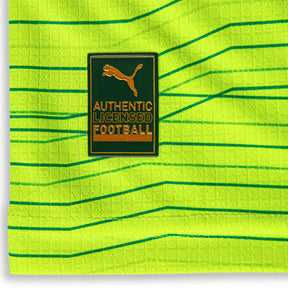Camisa Palmeiras Puma III 23/24 Jogador