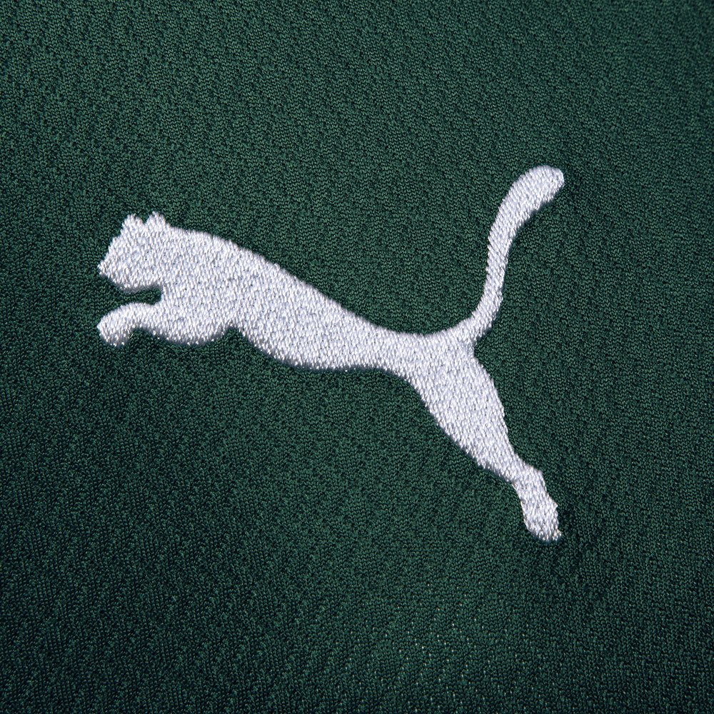 Camisa Palmeiras Puma I 22/23