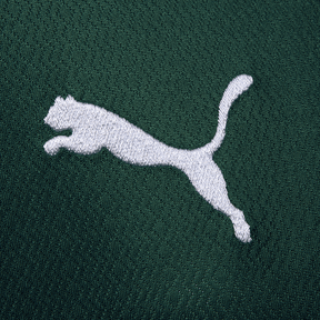 Camisa Palmeiras Puma I 22/23