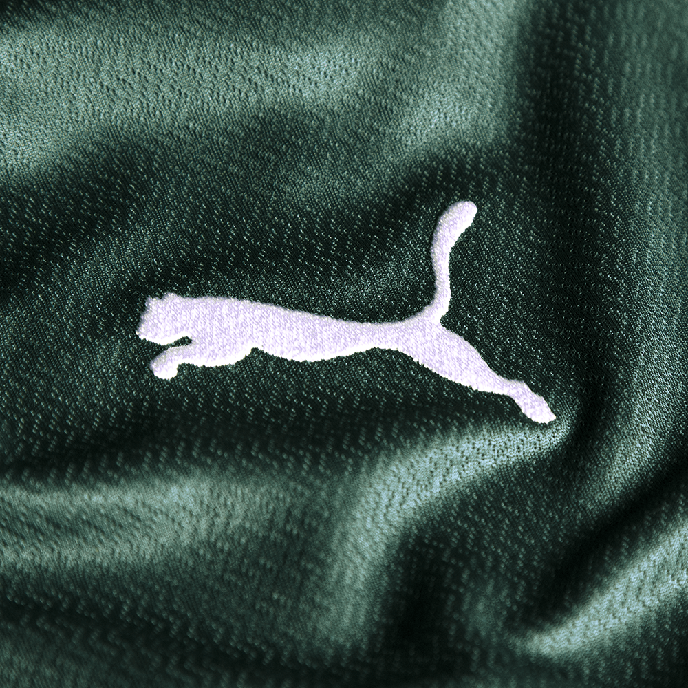 Camisa Palmeiras Puma I 22/23