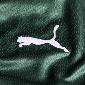 Camisa Palmeiras Puma I 22/23
