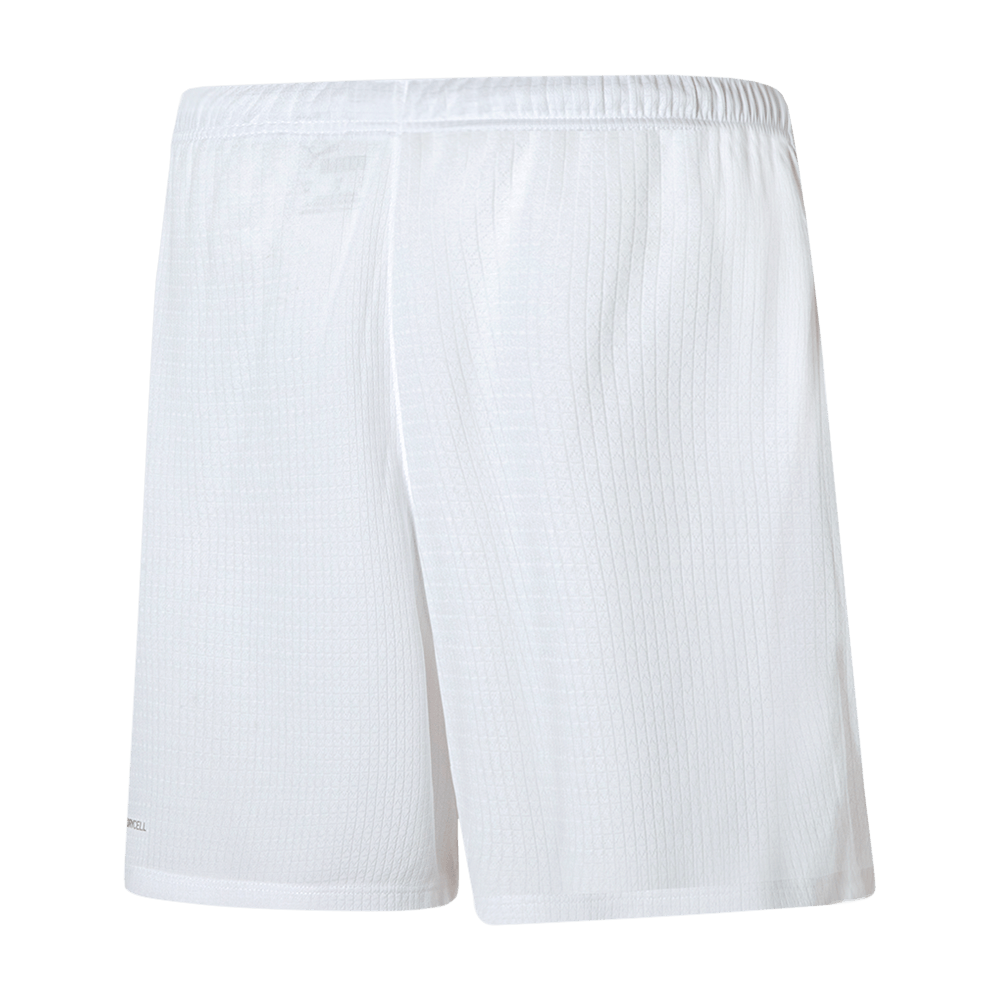 Short Goleiro I Palmeiras Puma 23/24 - Feminino