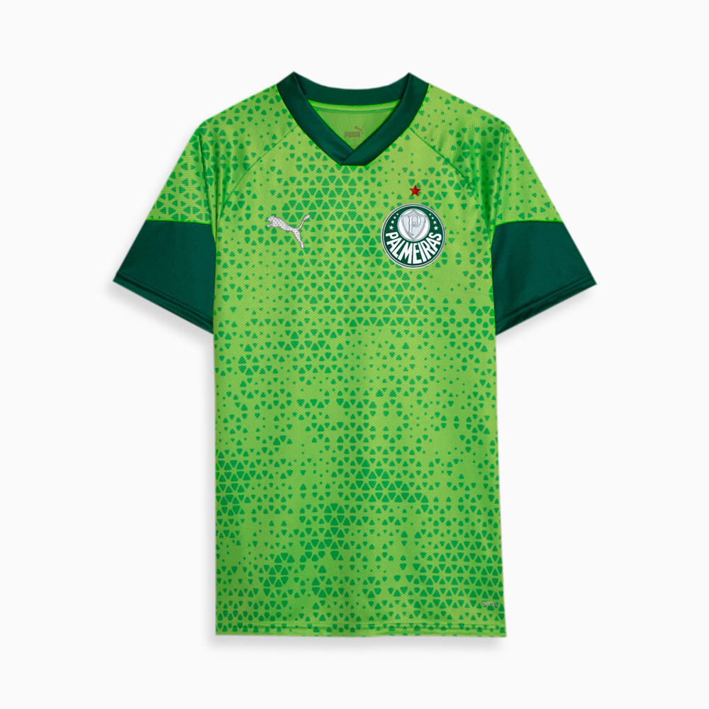 Camisa Treino Palmeiras 2024/25 Verde