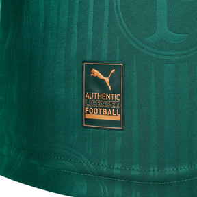 Camisa Palmeiras Versão Jogador Puma 24/25 Home