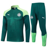 Conjunto Agasalho Treino Palmeiras 24/25 - Verde