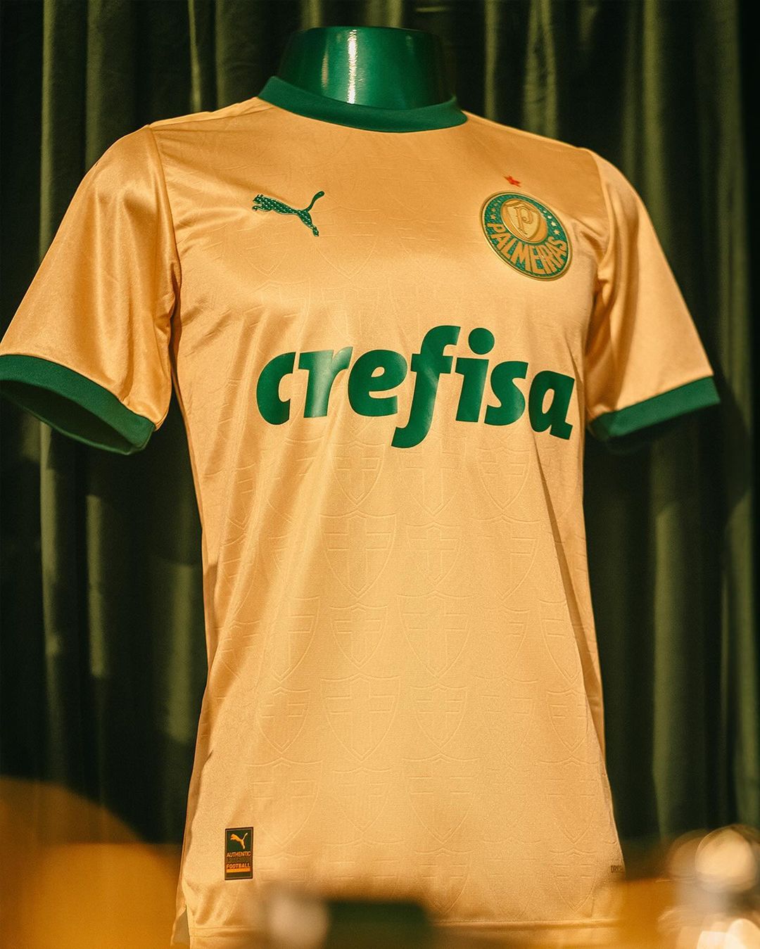 Camisa Palmeiras Puma III 24/25 Jogador