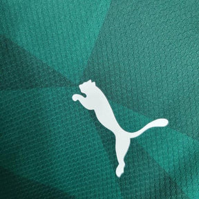 Camisa Masculina Palmeiras Puma 23/24 Home