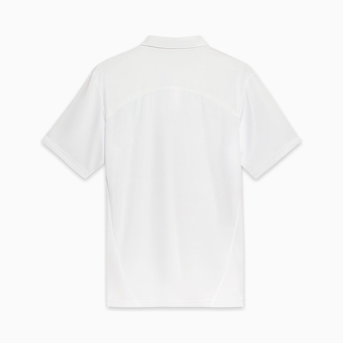 Camisa Polo Palmeiras Treino 2025