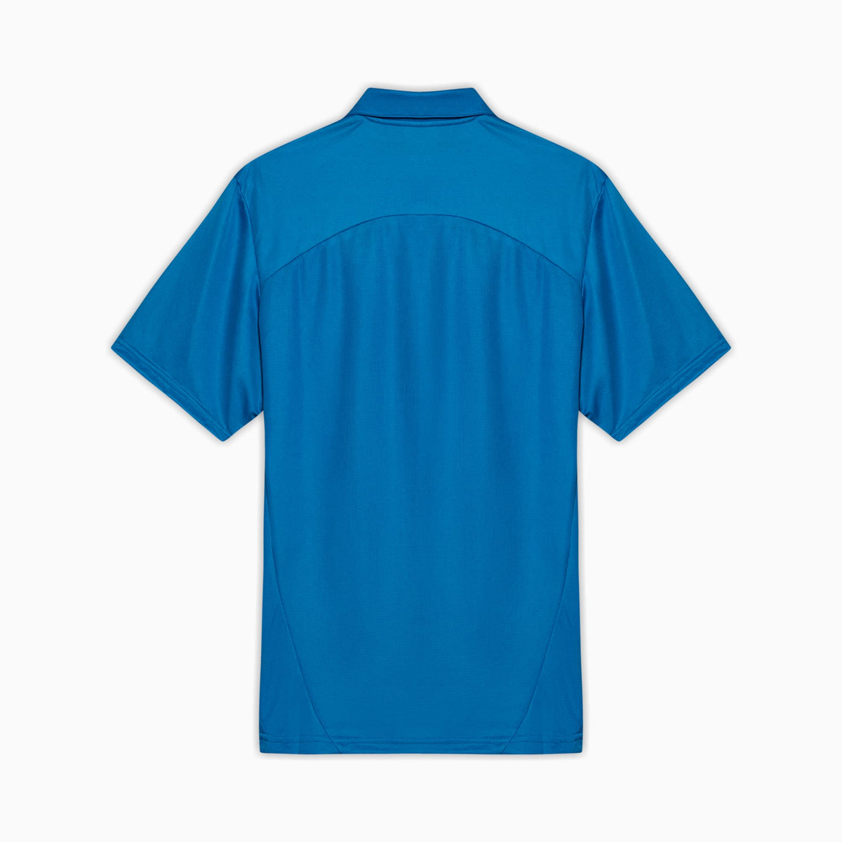 Camisa Polo Palmeiras Treino 2025