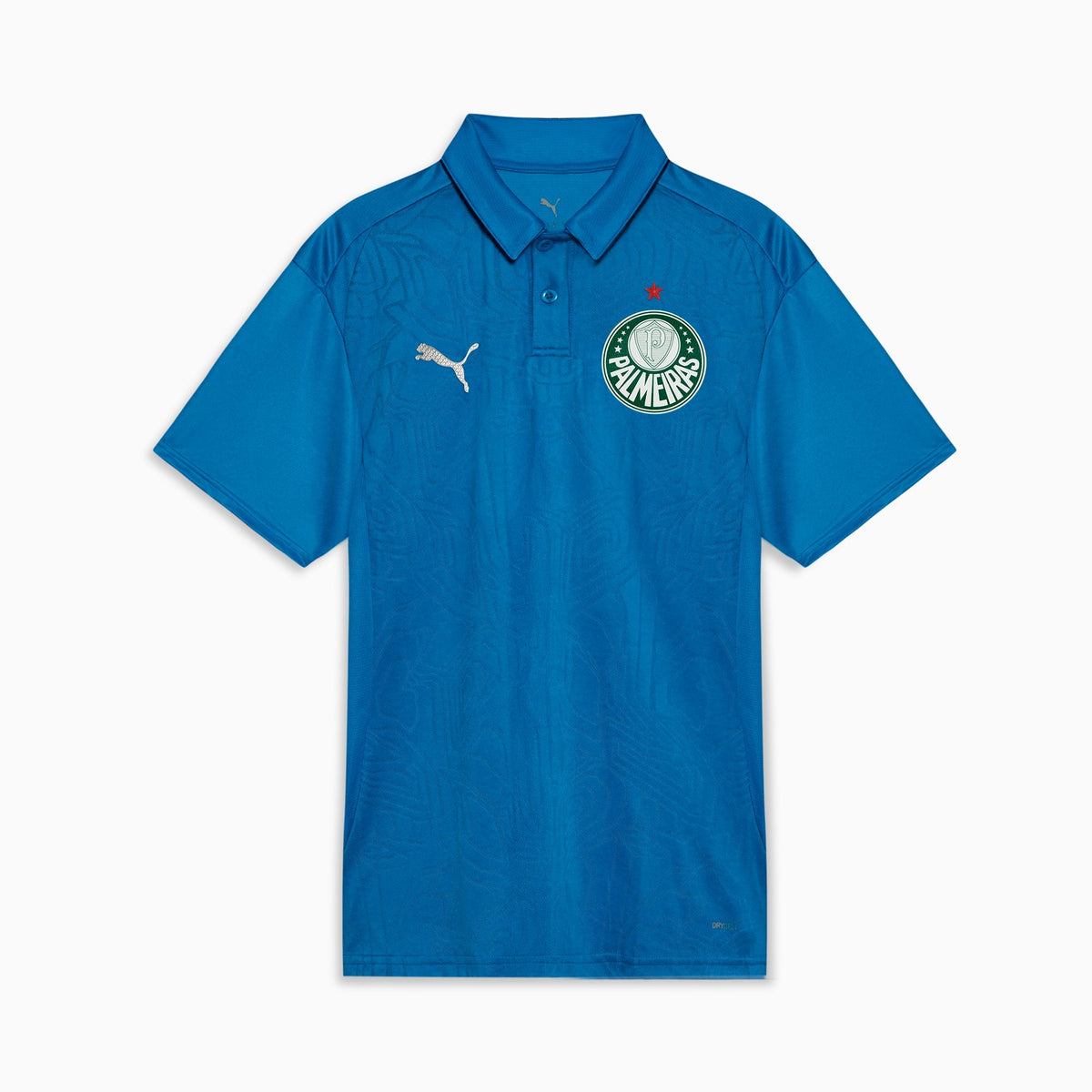 Camisa Polo Palmeiras Treino 2025
