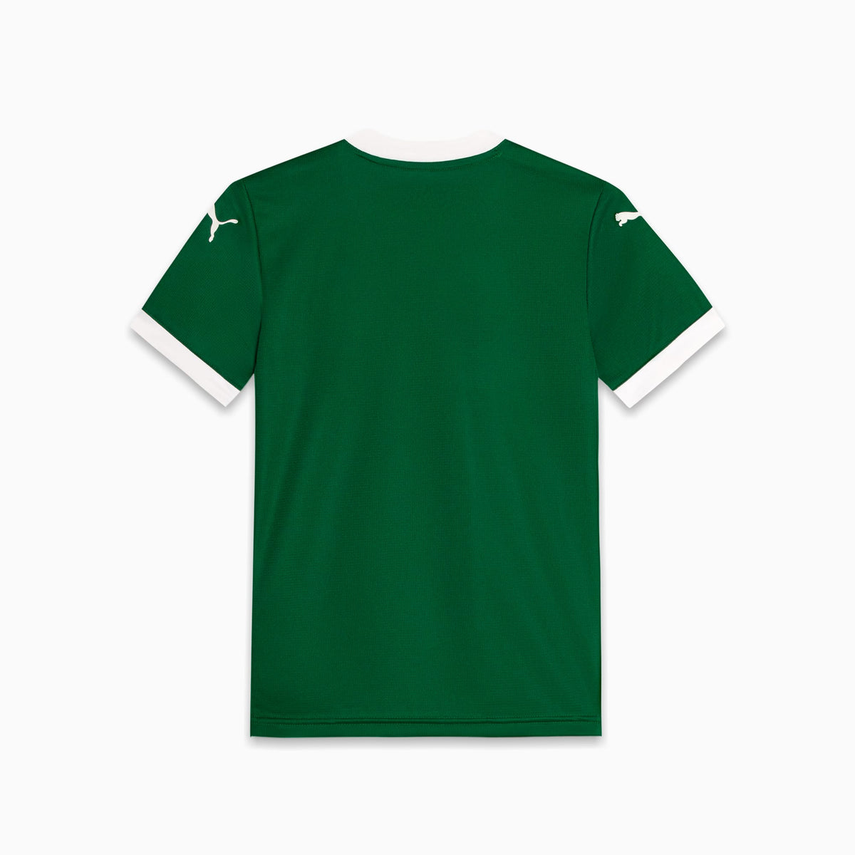 Camisa Palmeiras Torcedor HOME 2025 Juvenil