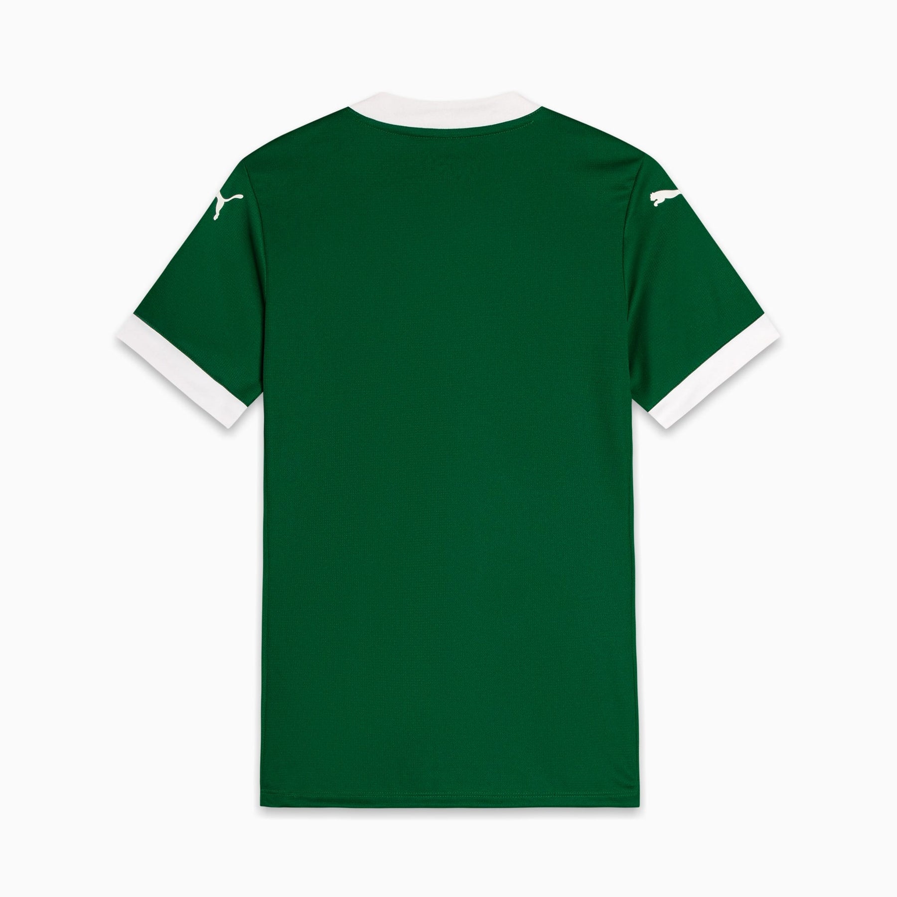 Camisa Palmeiras Torcedora HOME 2025 Feminina