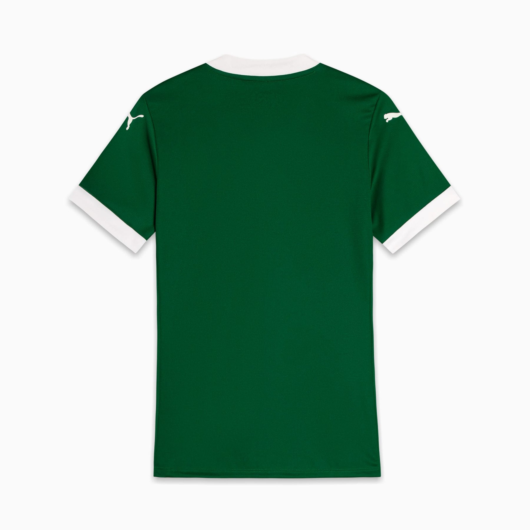 Camisa Palmeiras Jogadora HOME 2025 Feminina