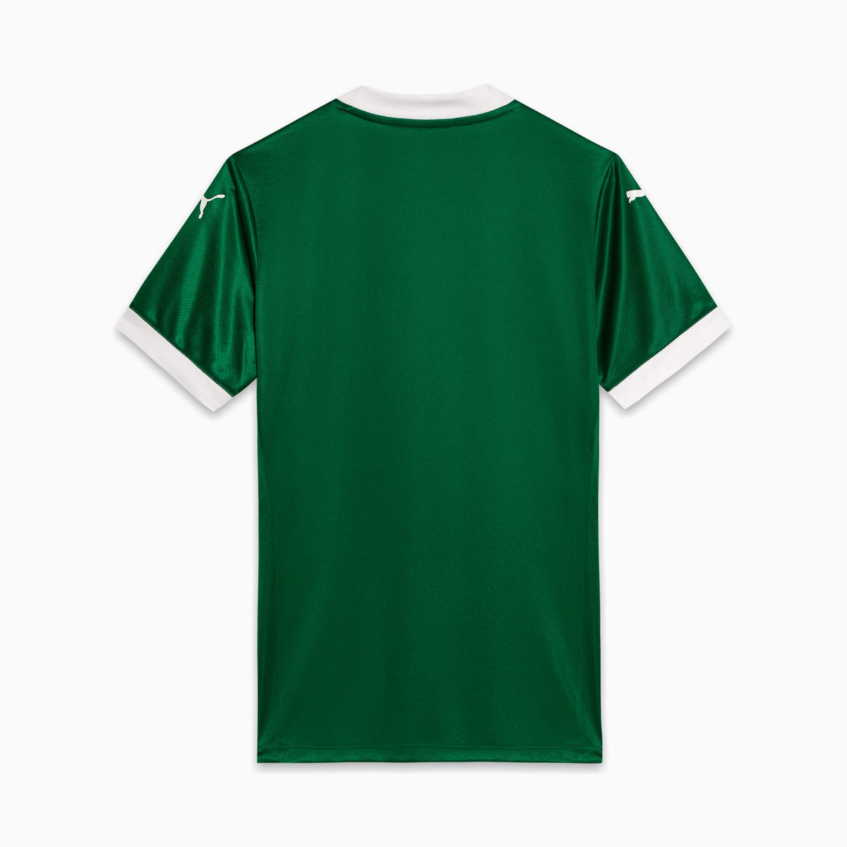 Camisa Palmeiras Jogador HOME 2025