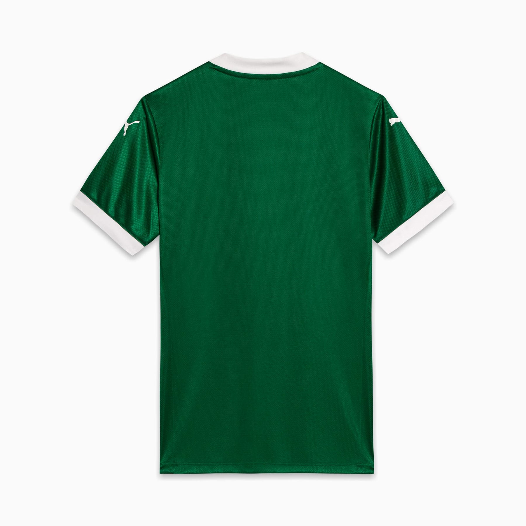 Camisa Palmeiras HOME Torcedor 2025