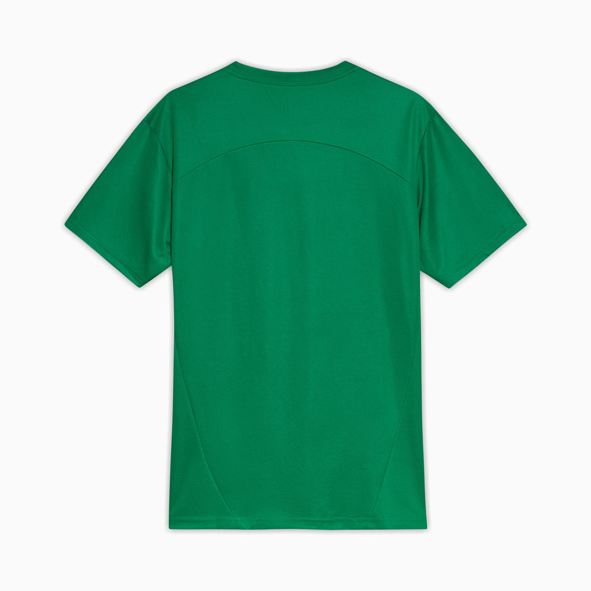 Camisa Palmeiras Treino 2025