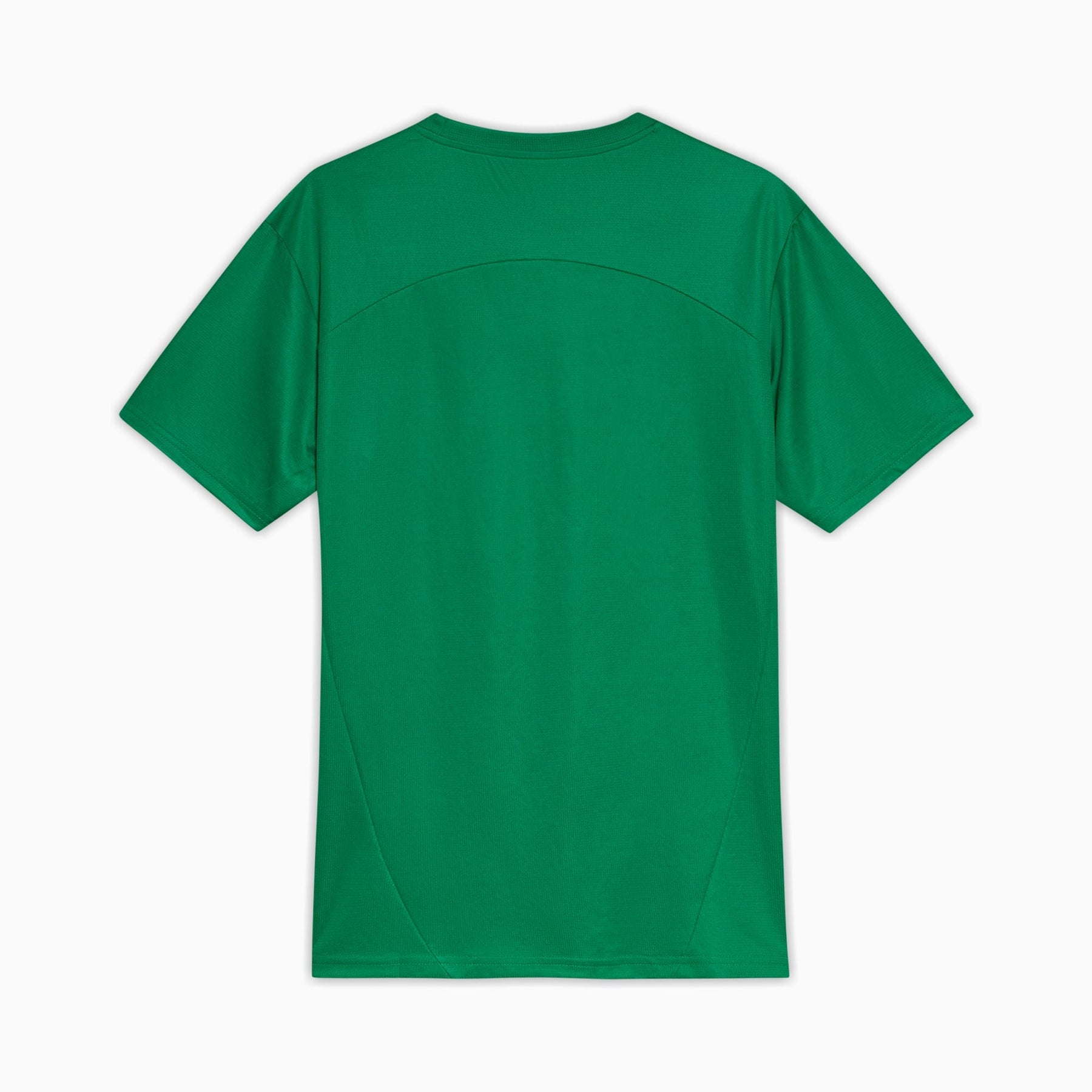 Camisa Palmeiras Treino 2025