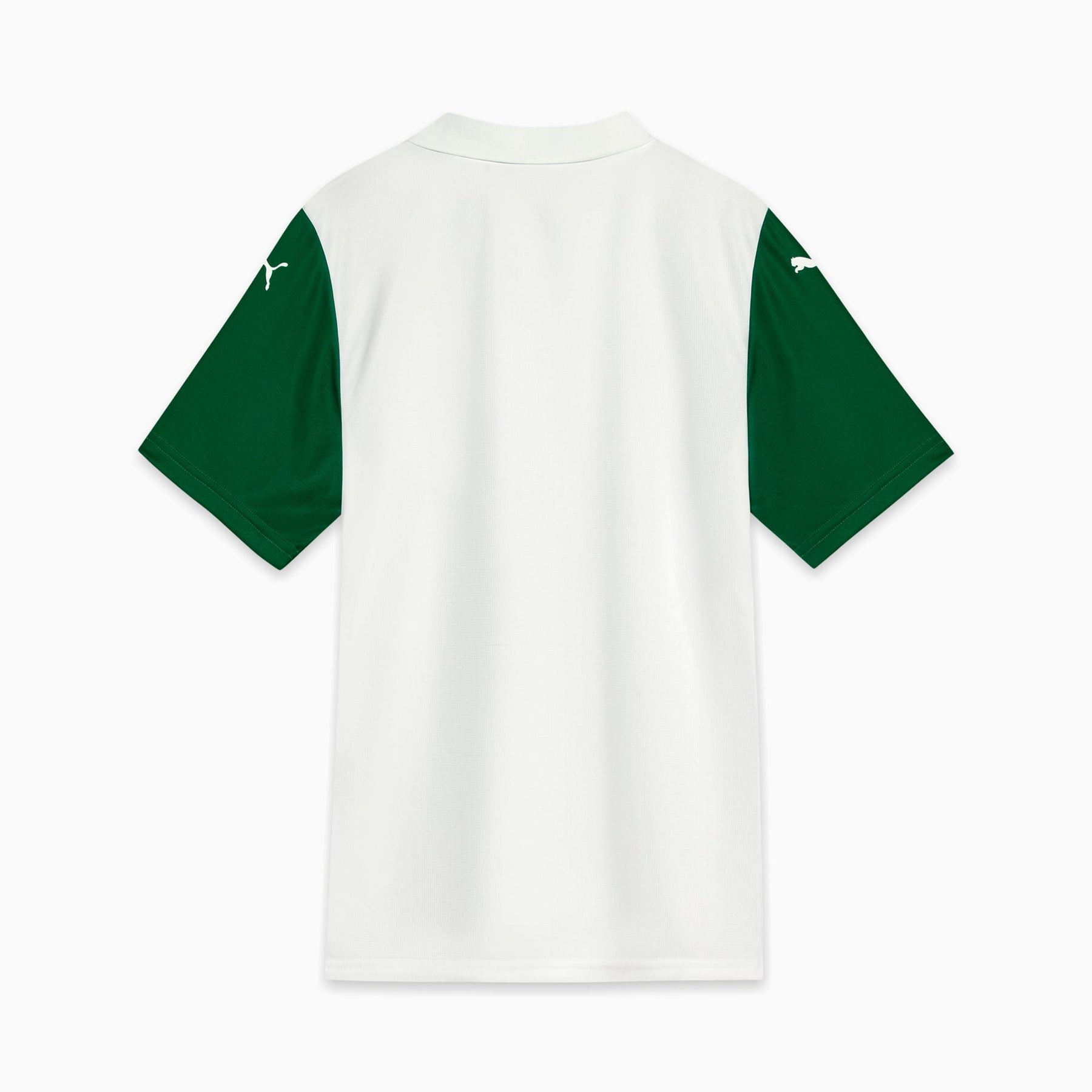 Camisa Palmeiras Puma I 25/26 Torcedor - Manga Longa