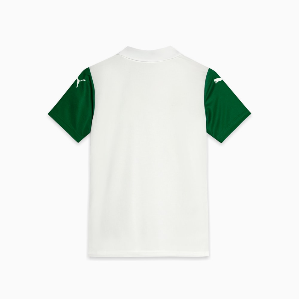 Camisa Palmeiras Torcedor AWAY 2025 Juvenil