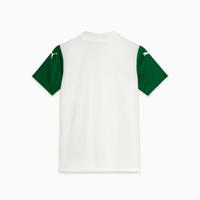Camisa Palmeiras Torcedor AWAY 2025 Juvenil
